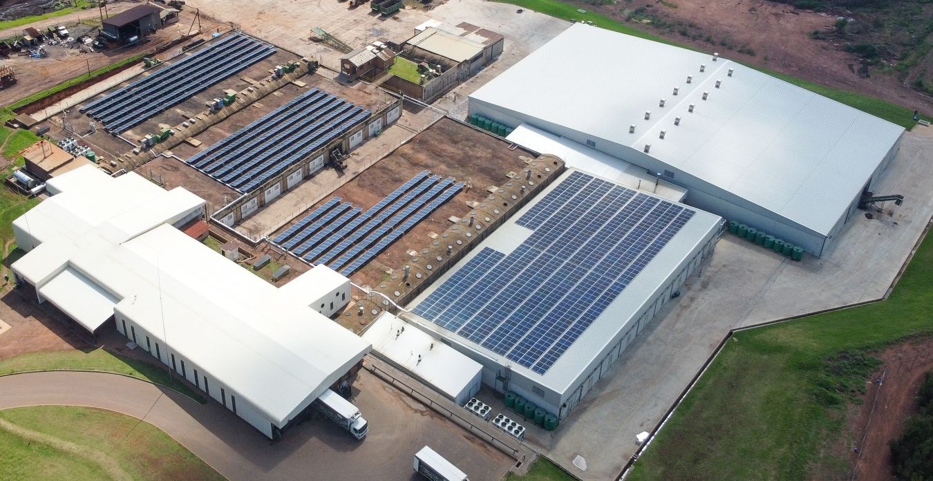 Cold Storage & Refrigeration